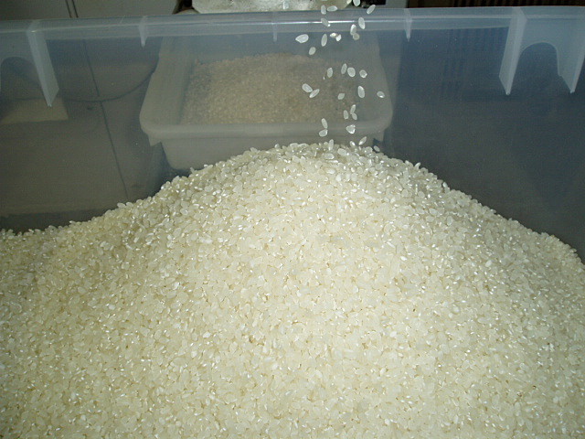 籾米のまま保存