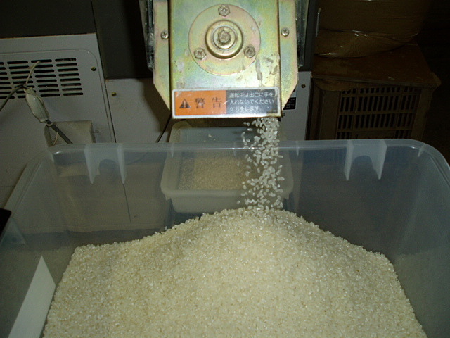 籾米～精米
